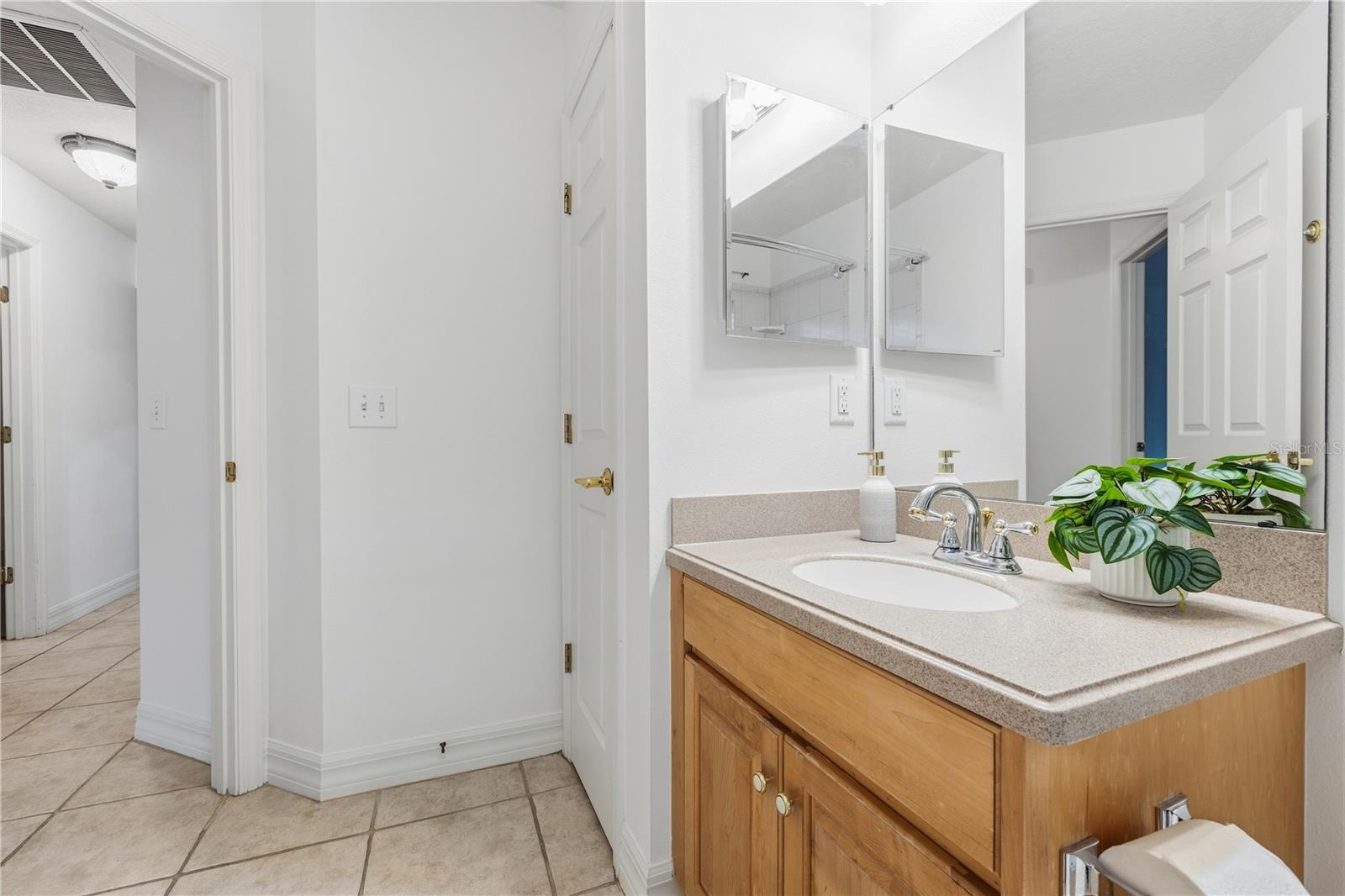 6521 CARRINGTON SKY DR — photo 36