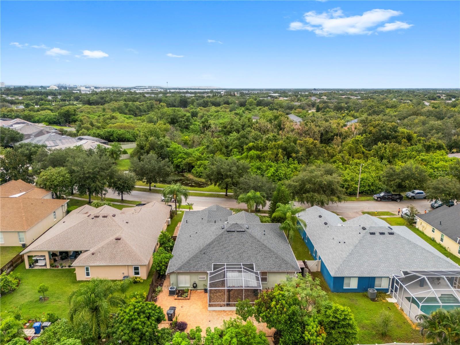 6521 CARRINGTON SKY DR — photo 42