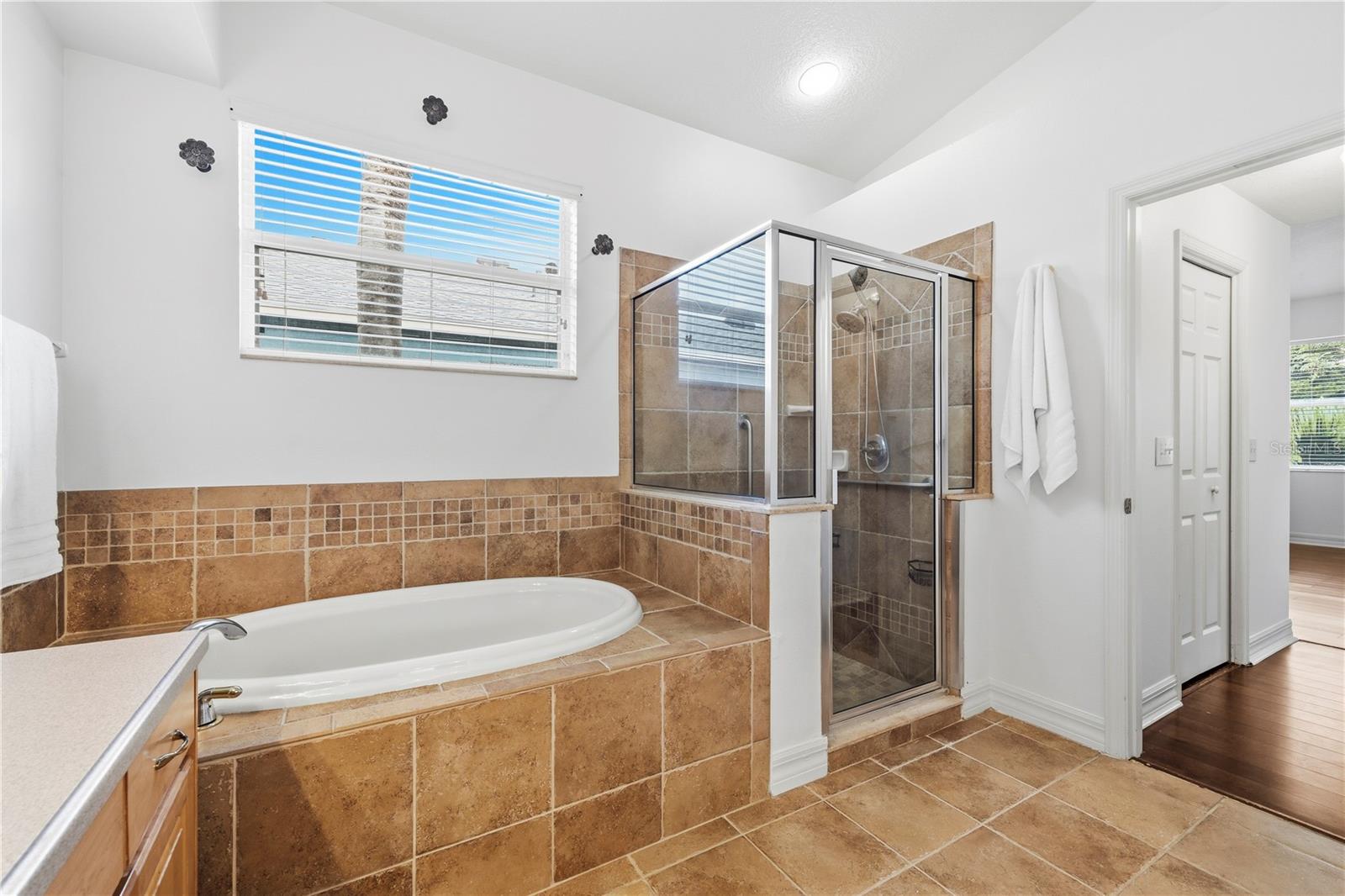 6521 CARRINGTON SKY DR — photo 29