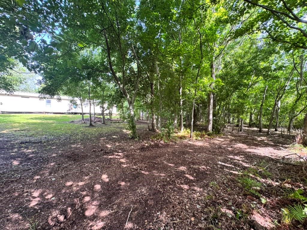 3904 CORK ROAD — photo 7