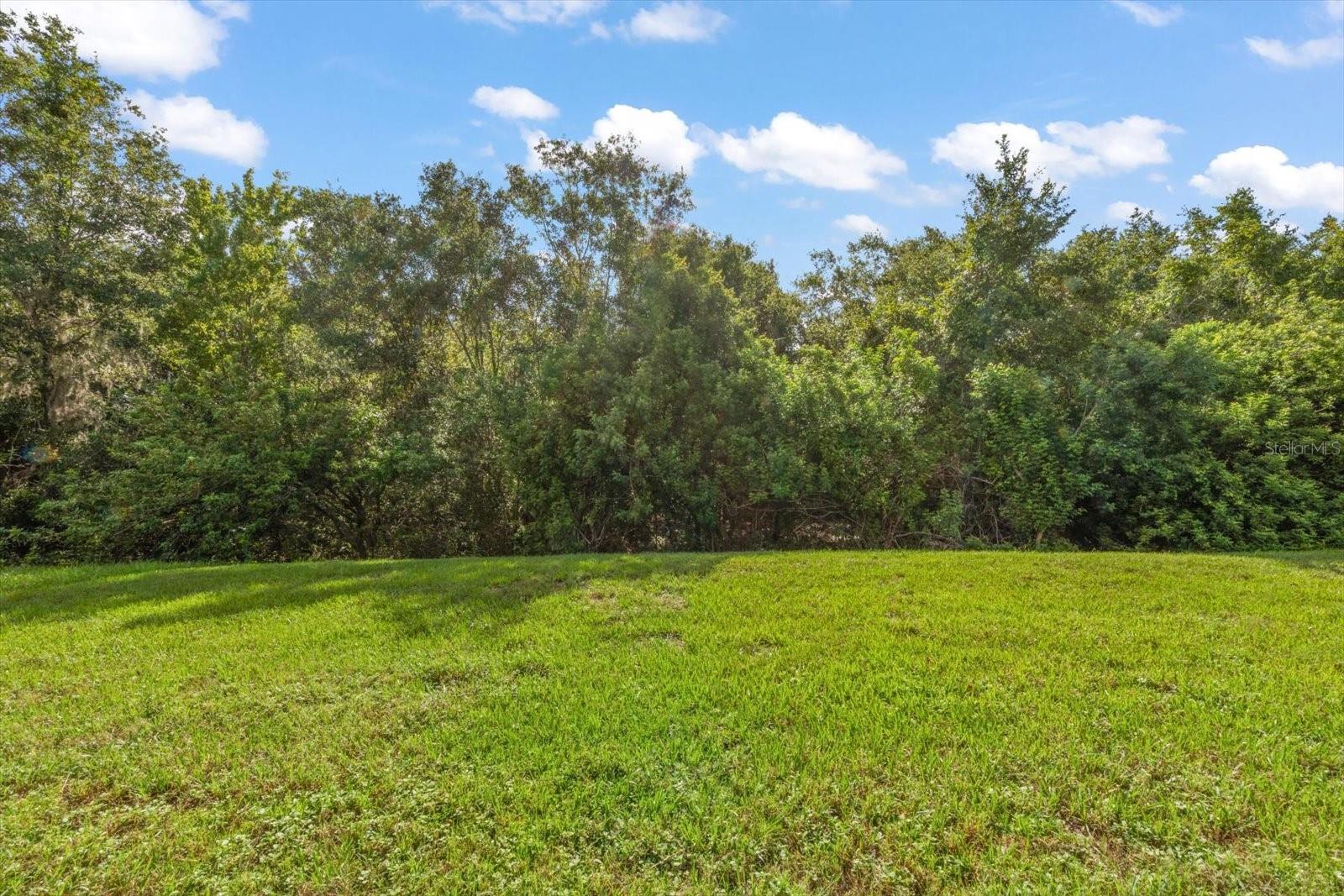 4422 HAVELOCKE DR — photo 30