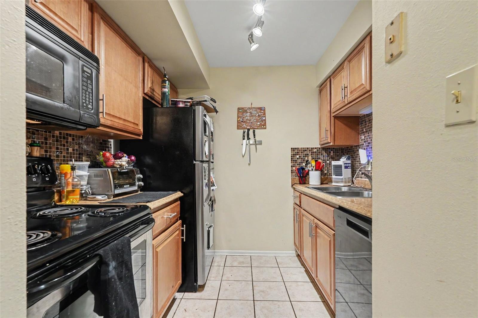14203 SHADOW MOSS LN #102 — photo 9
