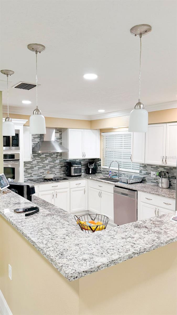 11001 N ARMENIA AVE — photo 9
