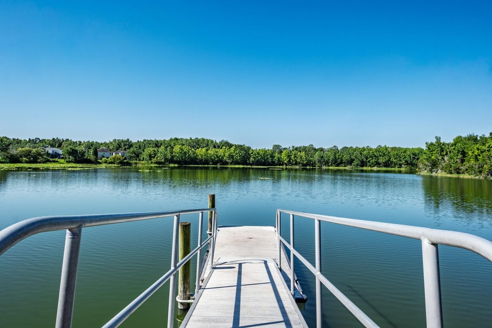 7912 HAMPTON LAKE DR — photo 47