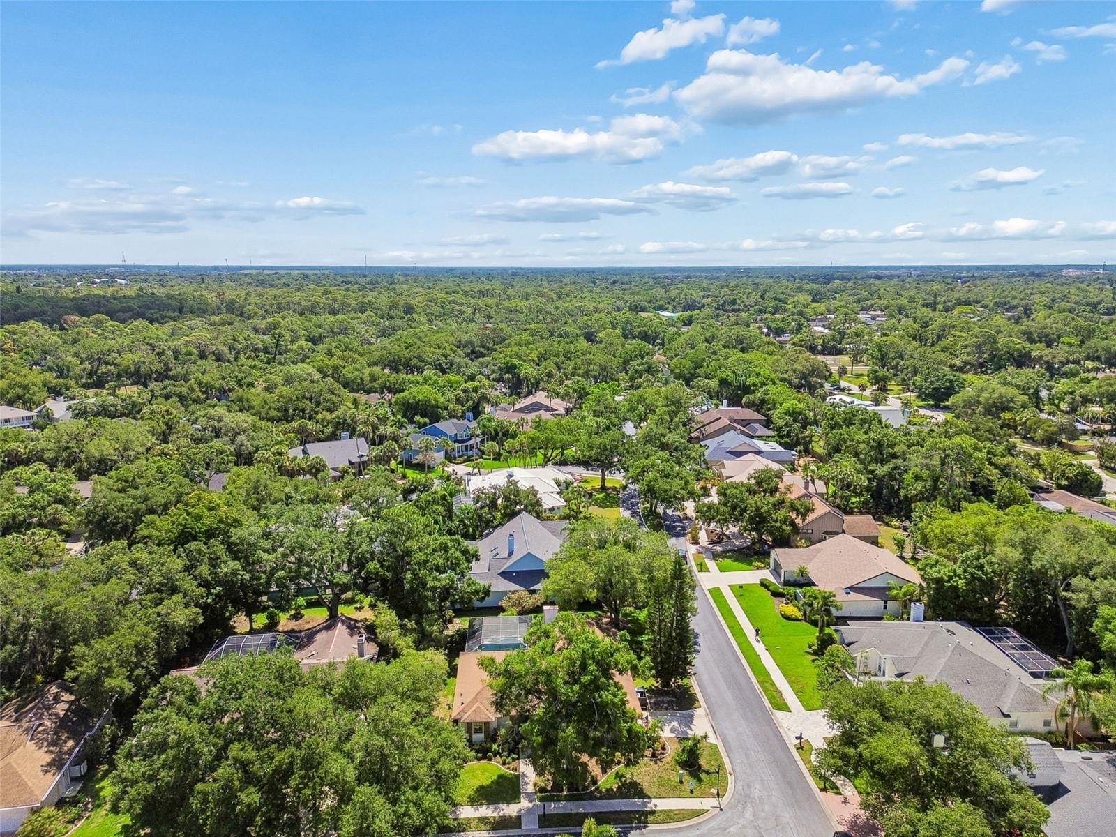 4627 TRAILS DR — photo 69