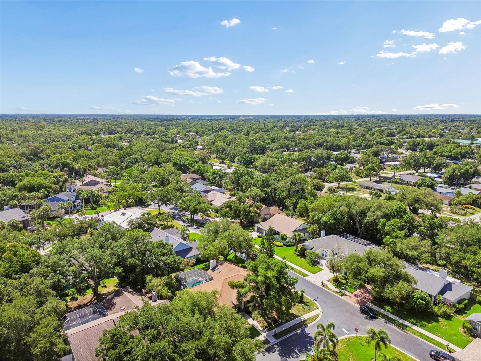 4627 TRAILS DR — photo 68