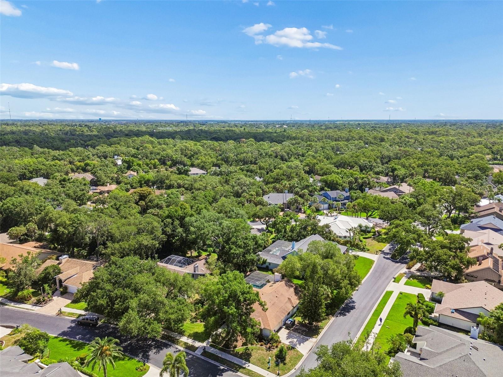 4627 TRAILS DR — photo 70