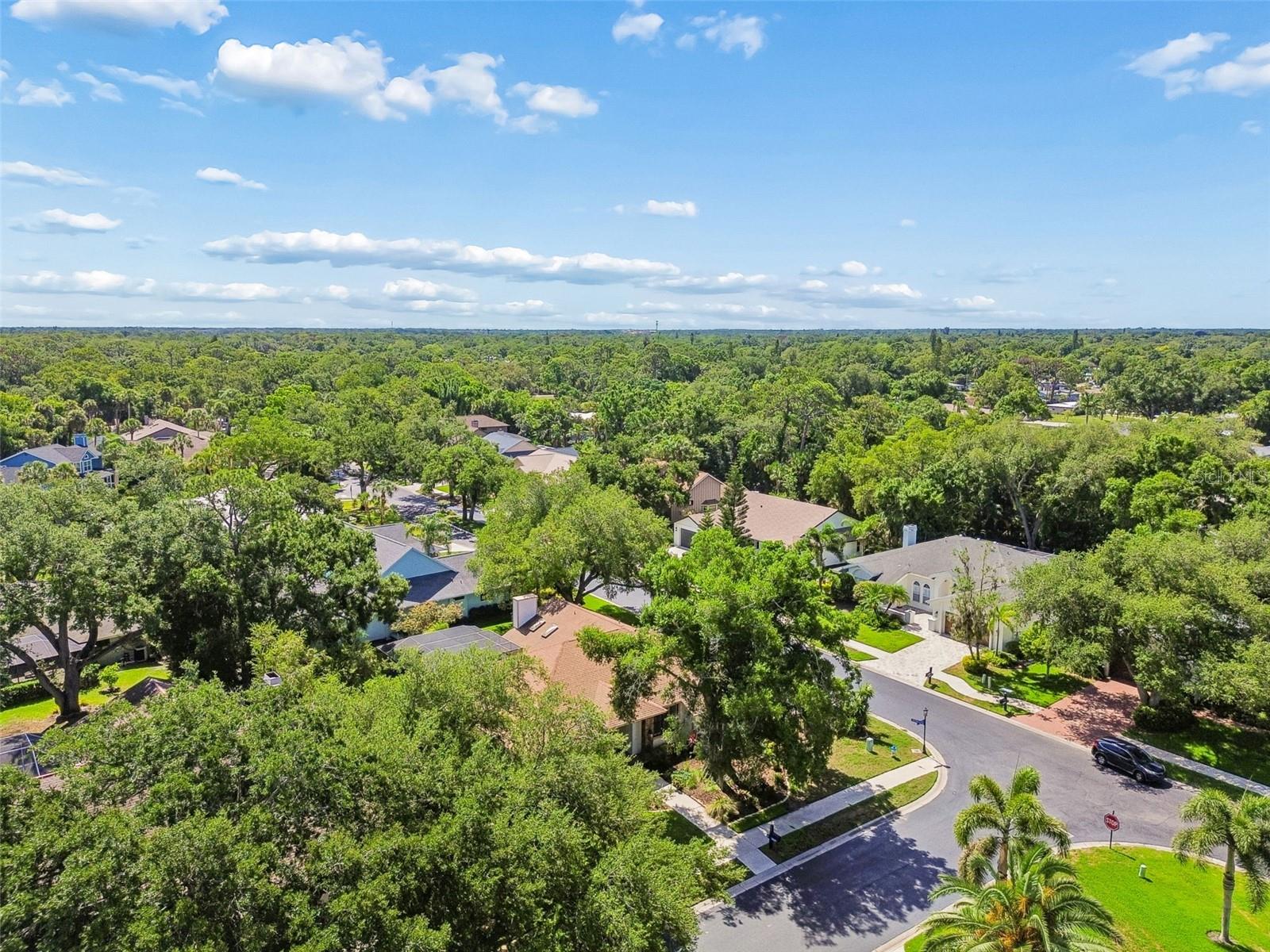 4627 TRAILS DR — photo 67