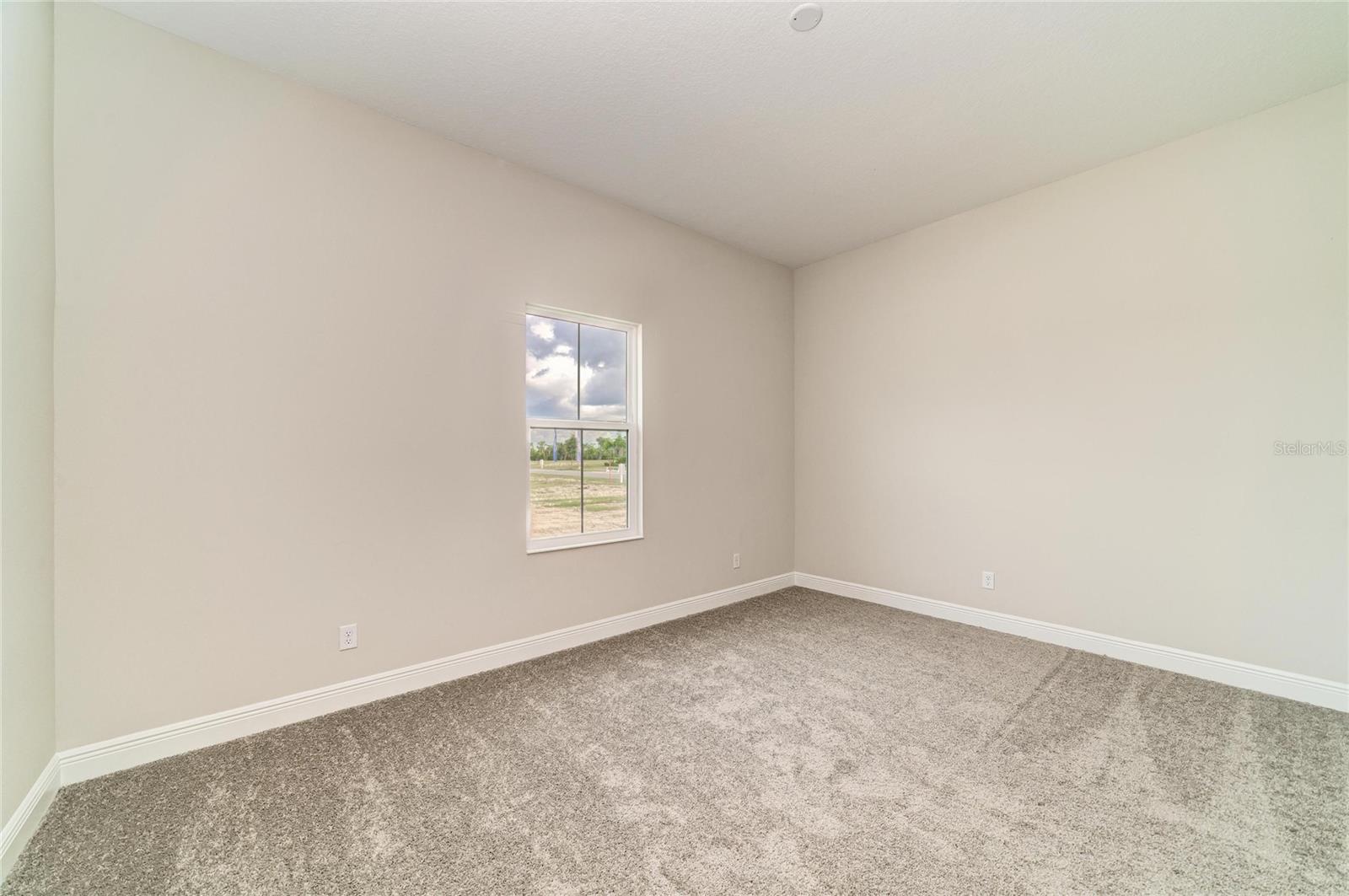 11340 LONGLEAF PINES BLVD — photo 27