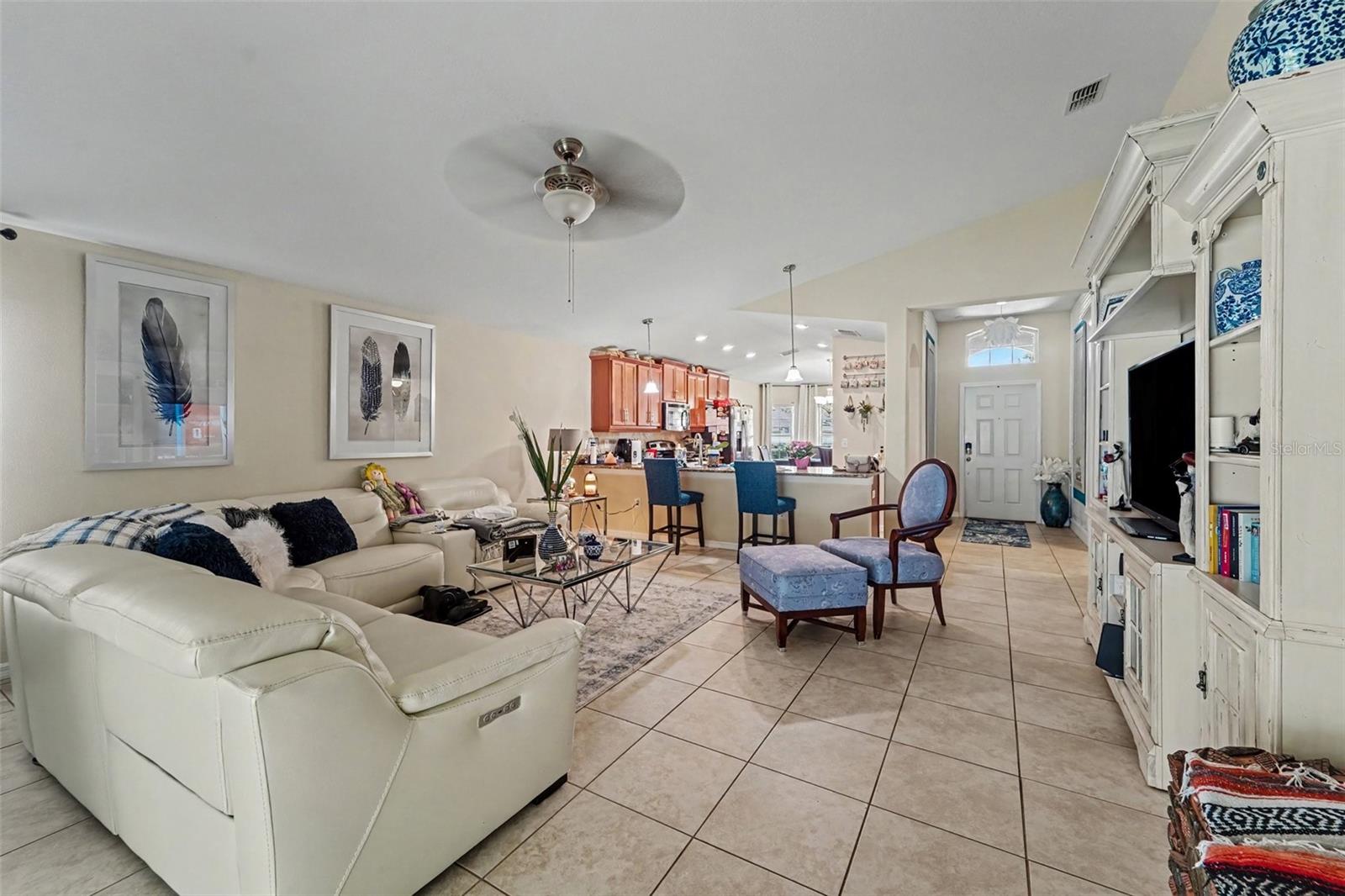 10048 IVES LOOP — photo 9