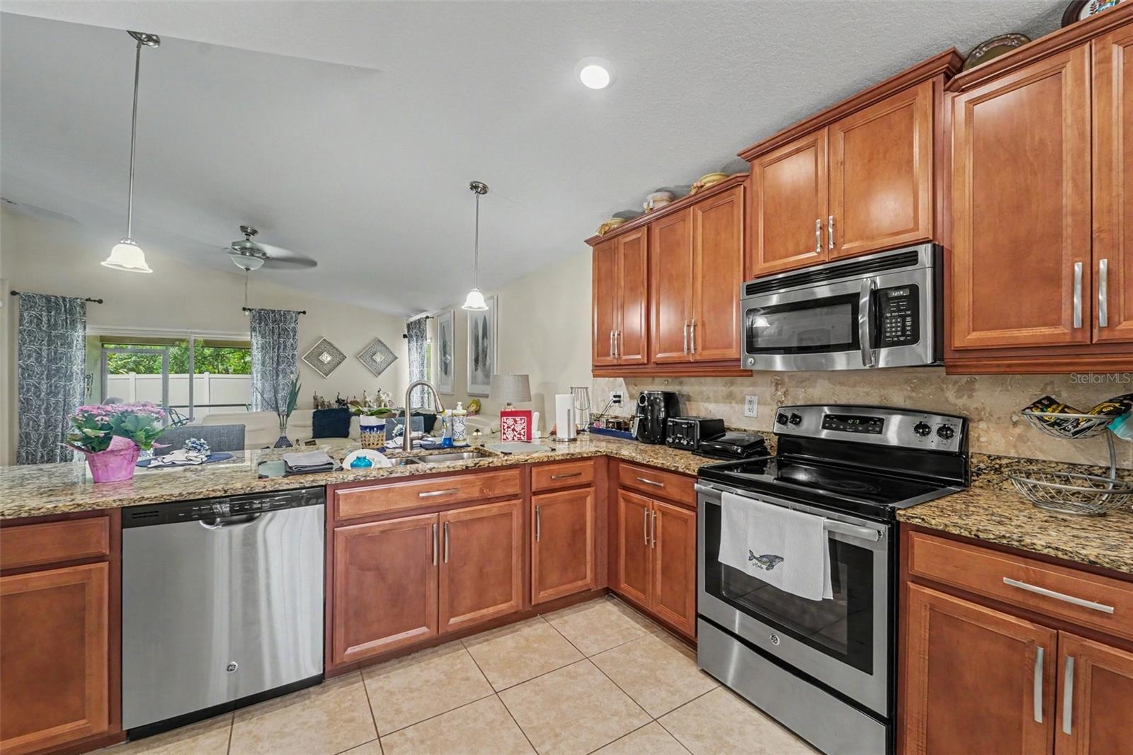 10048 IVES LOOP — photo 14