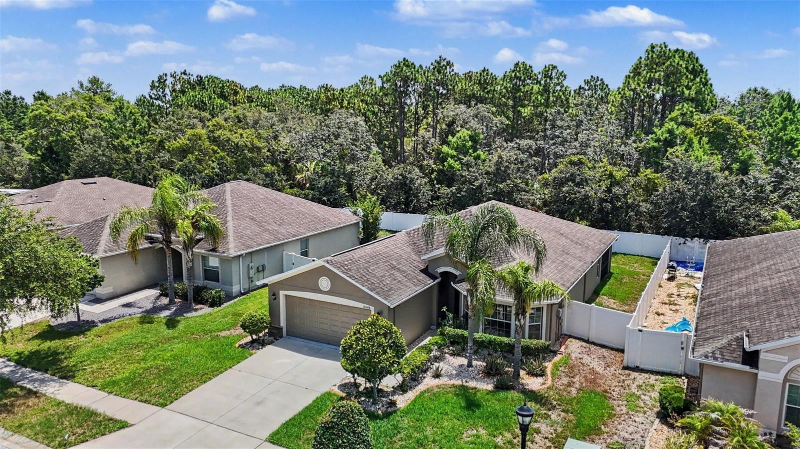 10048 IVES LOOP — photo 31
