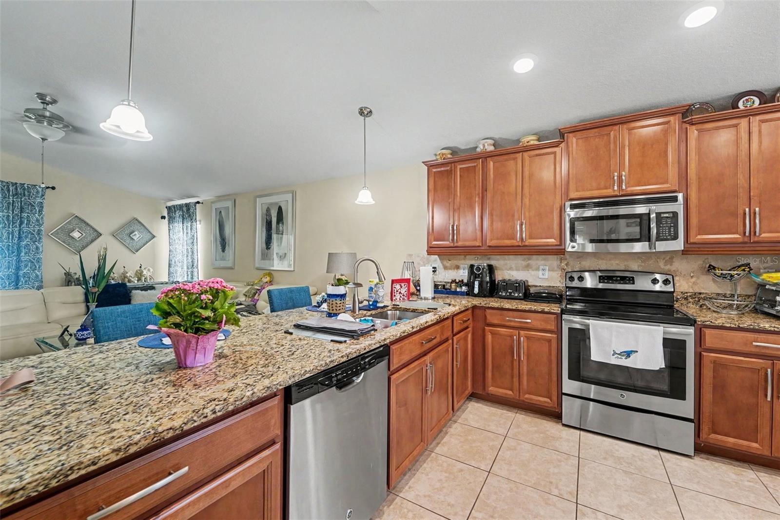 10048 IVES LOOP — photo 15