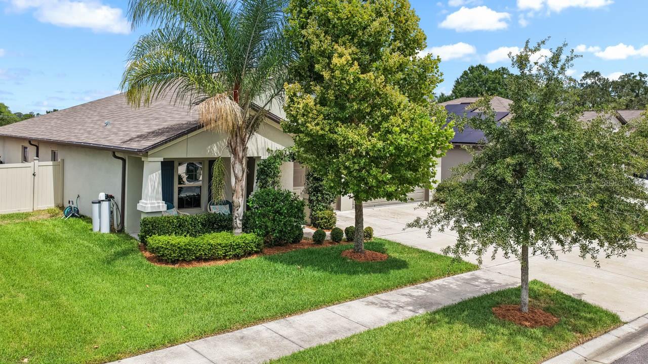 809 TIMELESS MOSS DR — photo 50