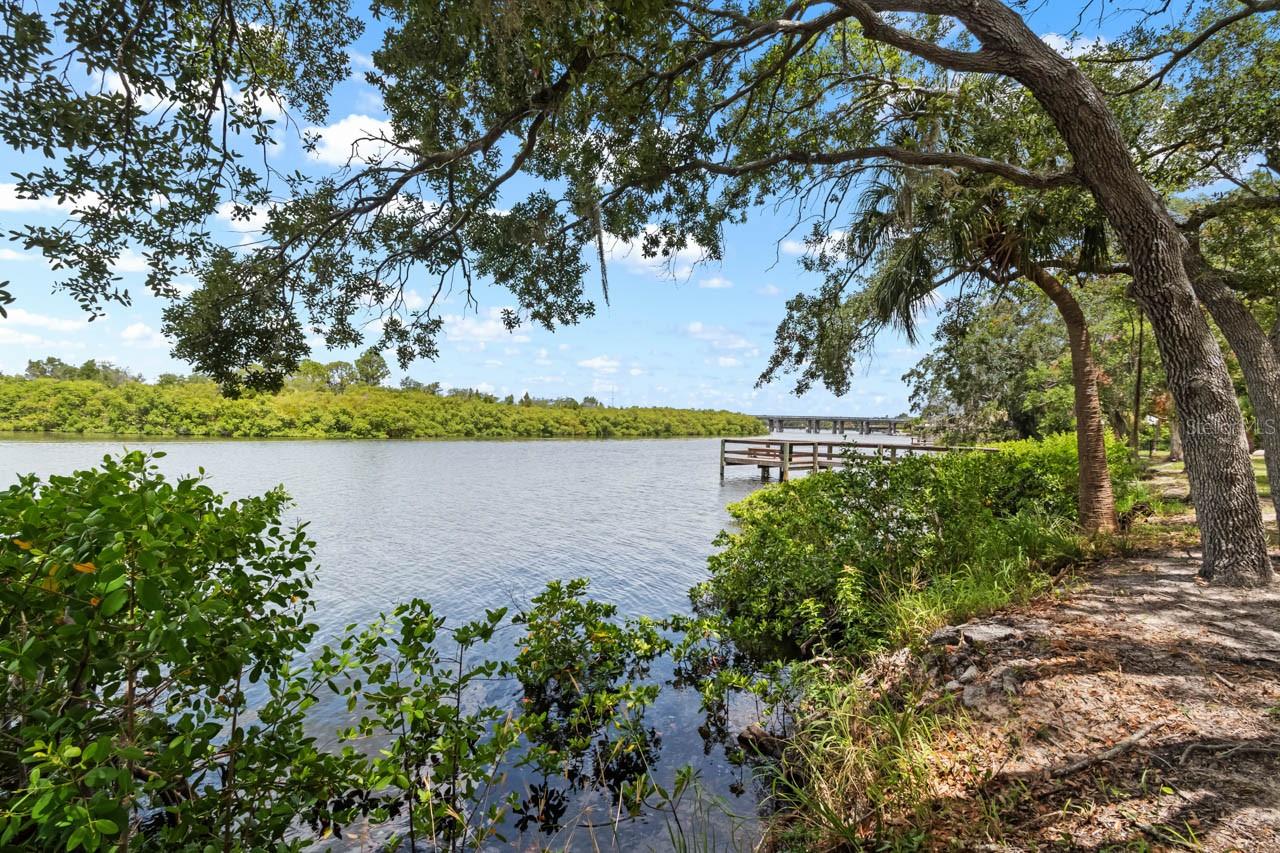 809 TIMELESS MOSS DR — photo 68
