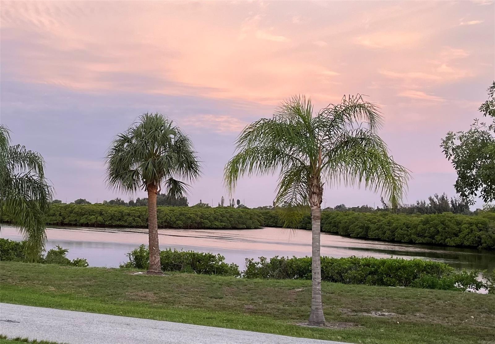 809 TIMELESS MOSS DR — photo 73