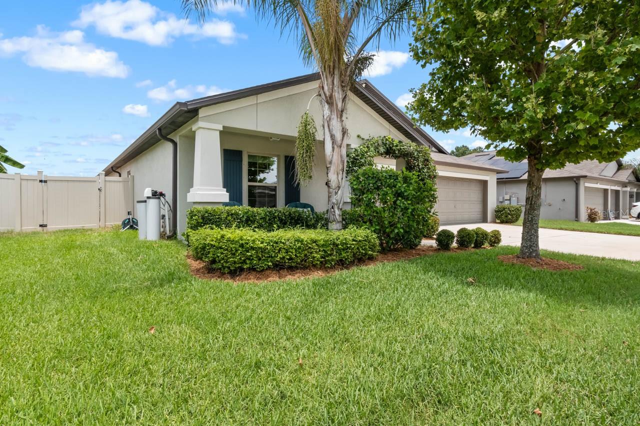 809 TIMELESS MOSS DR — photo 5