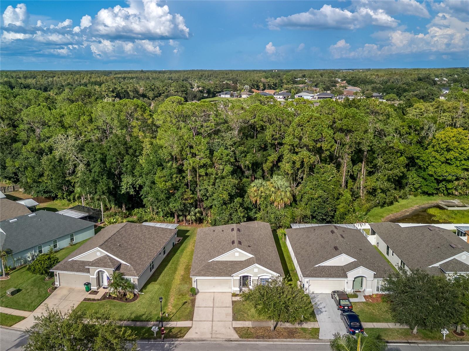 25342 LEXINGTON OAKS BLVD — photo 46