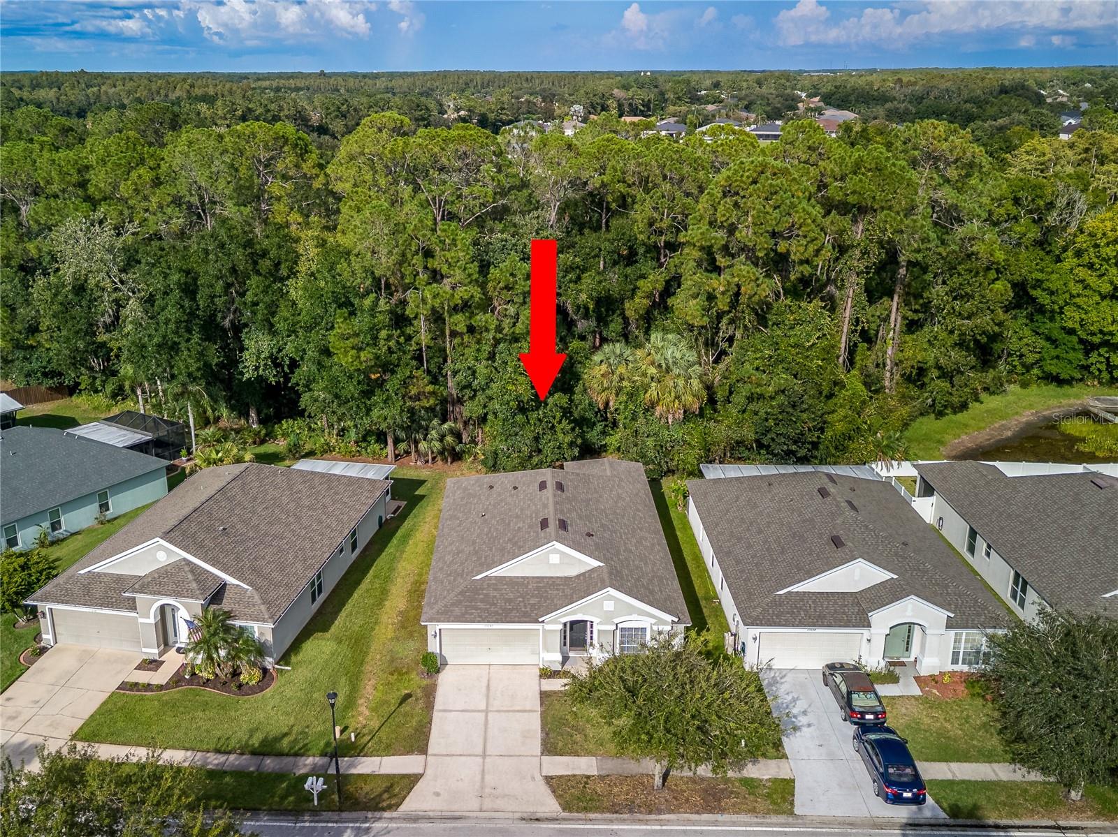 25342 LEXINGTON OAKS BLVD — photo 45