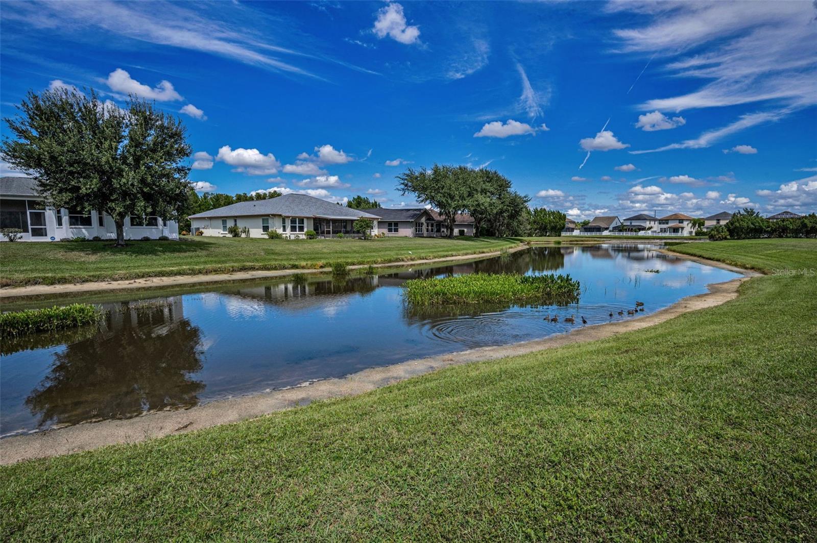 12021 FERN TERRACE CT — photo 44