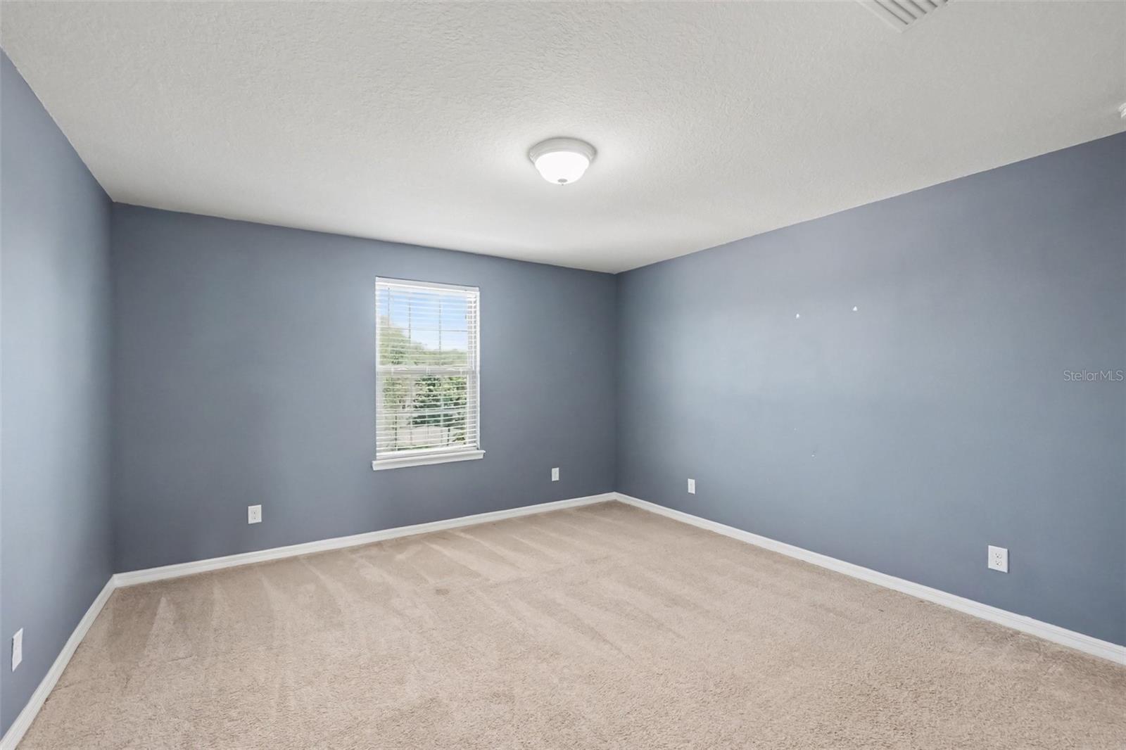 9217 EUROPEAN OLIVE WAY — photo 17