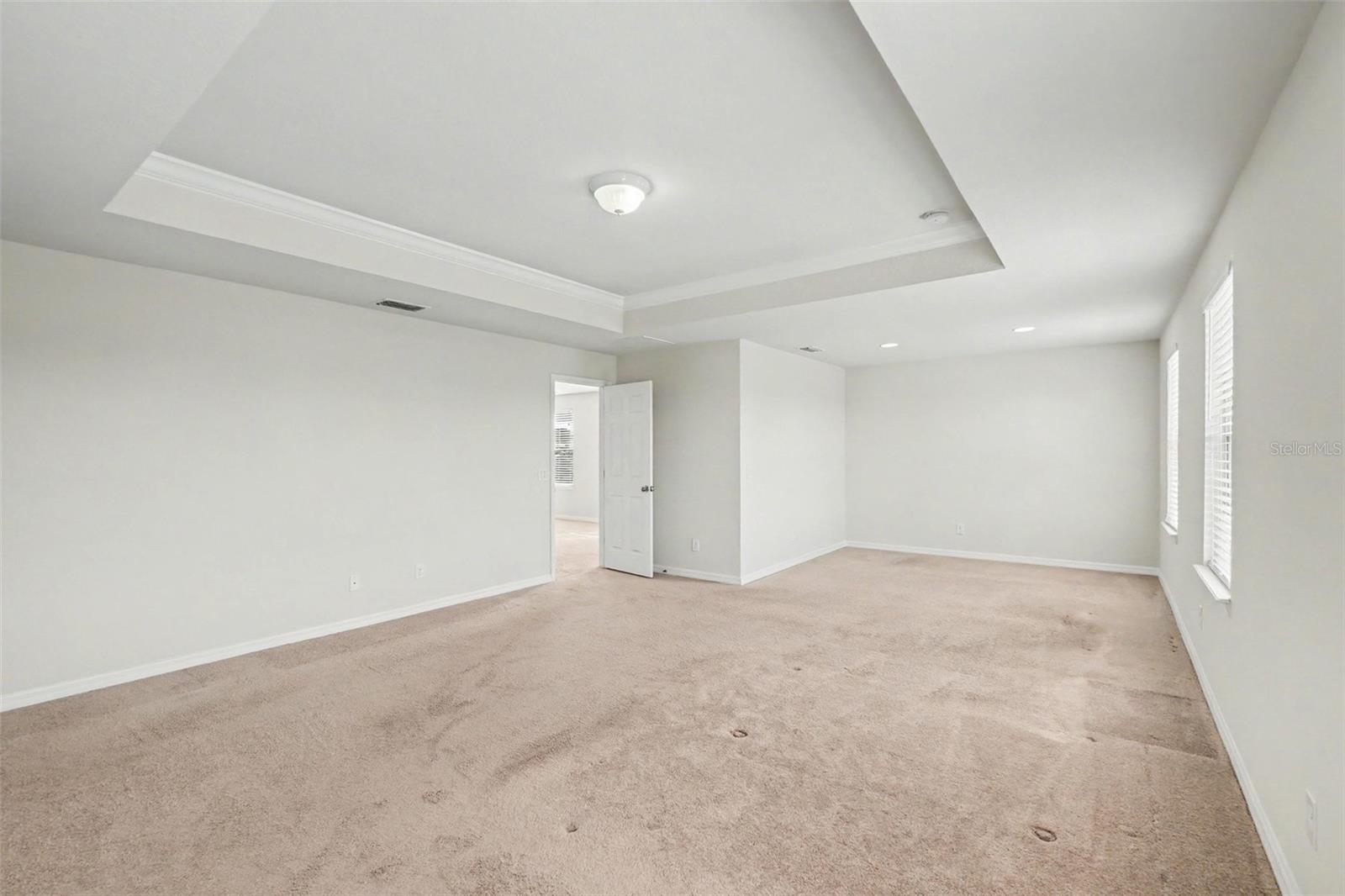 9217 EUROPEAN OLIVE WAY — photo 14