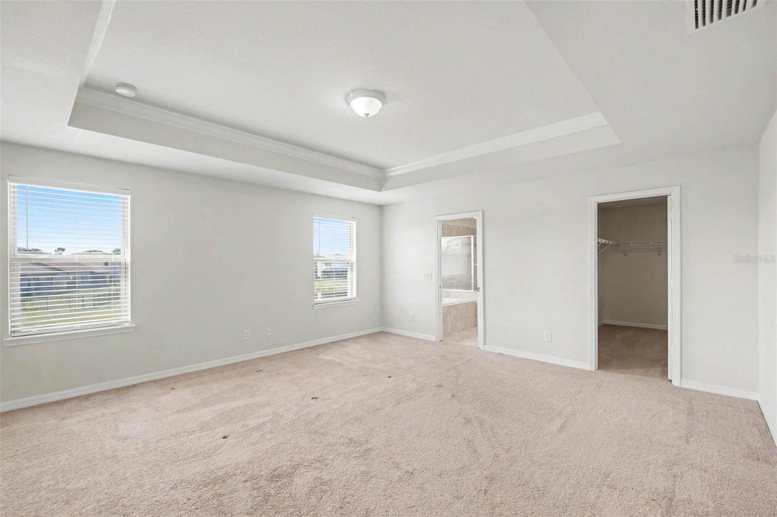 9217 EUROPEAN OLIVE WAY — photo 13