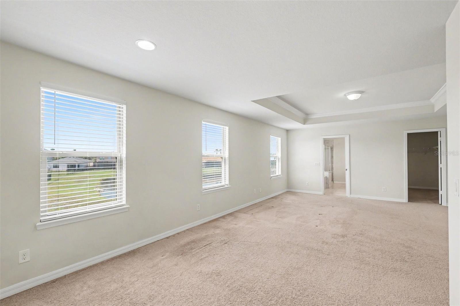 9217 EUROPEAN OLIVE WAY — photo 15