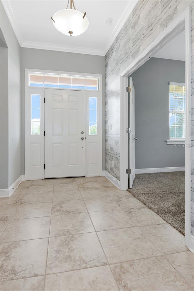 8703 ALAFIA HILLS DR — photo 7