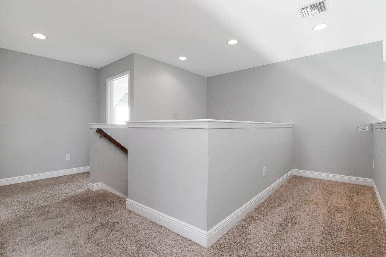 8703 ALAFIA HILLS DR — photo 48