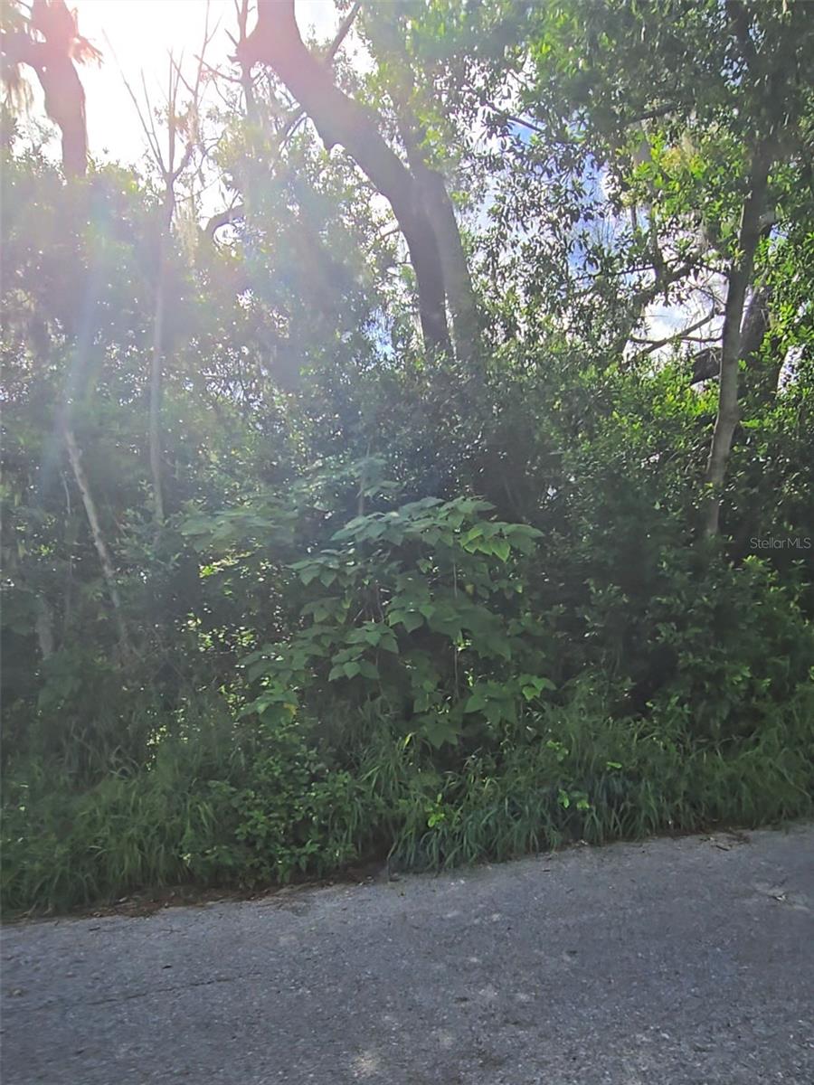LENOX DRIVE — photo 4