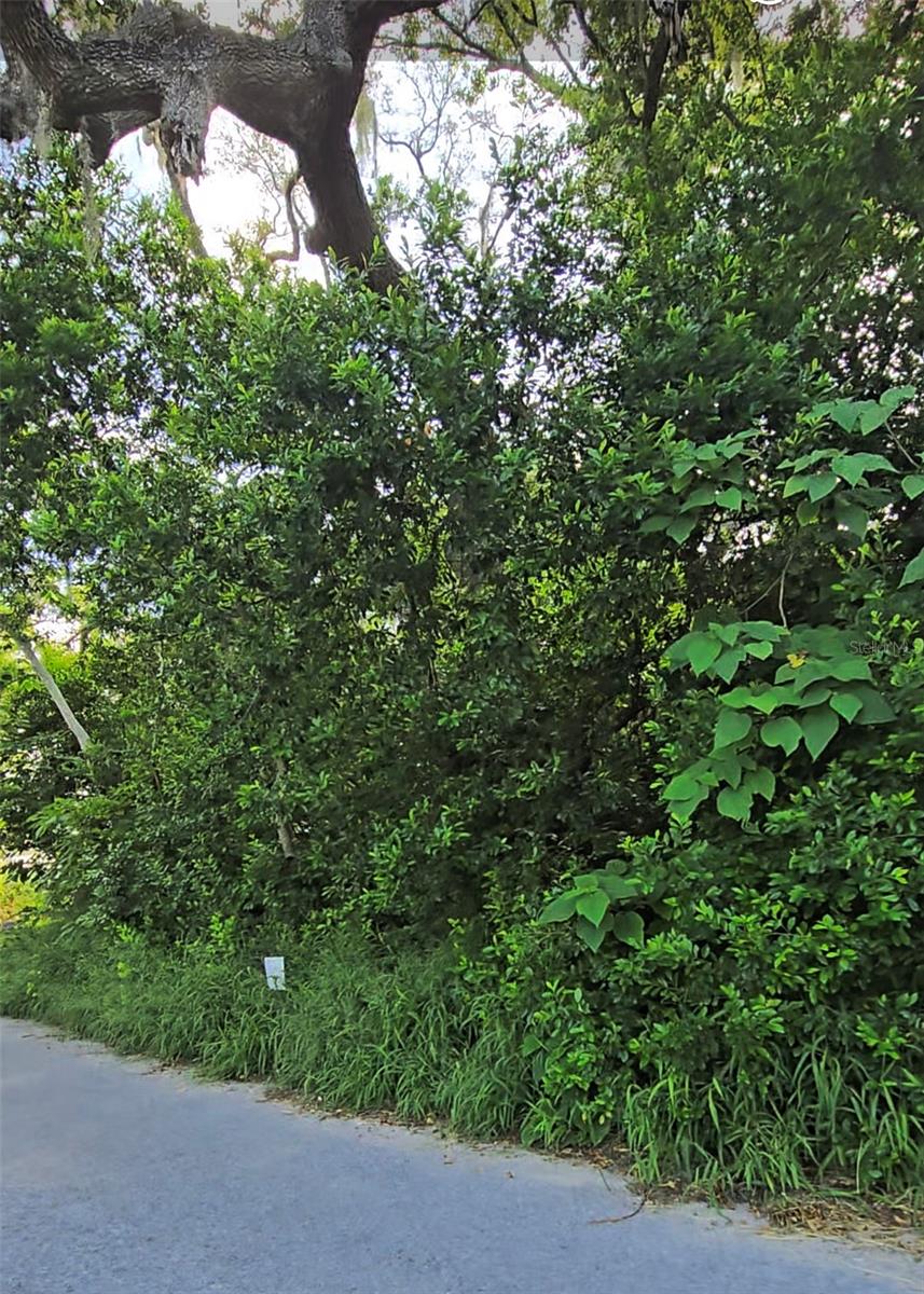 LENOX DRIVE — photo 3