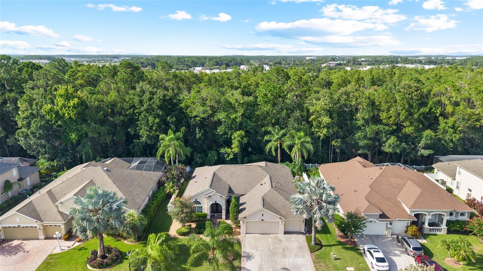 16132 IVY LAKE DR — photo 49