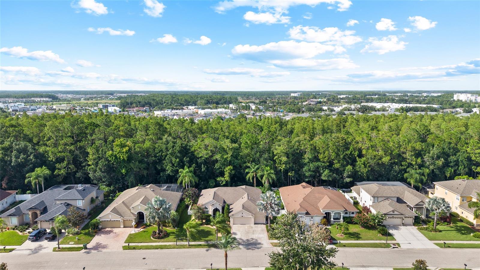 16132 IVY LAKE DR — photo 38