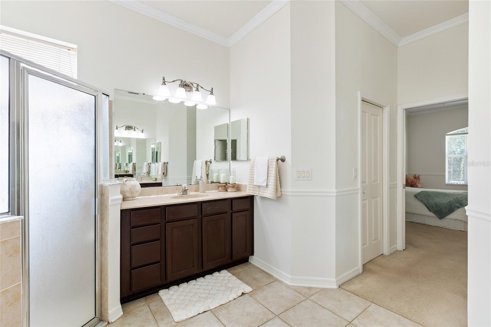 16132 IVY LAKE DR — photo 31