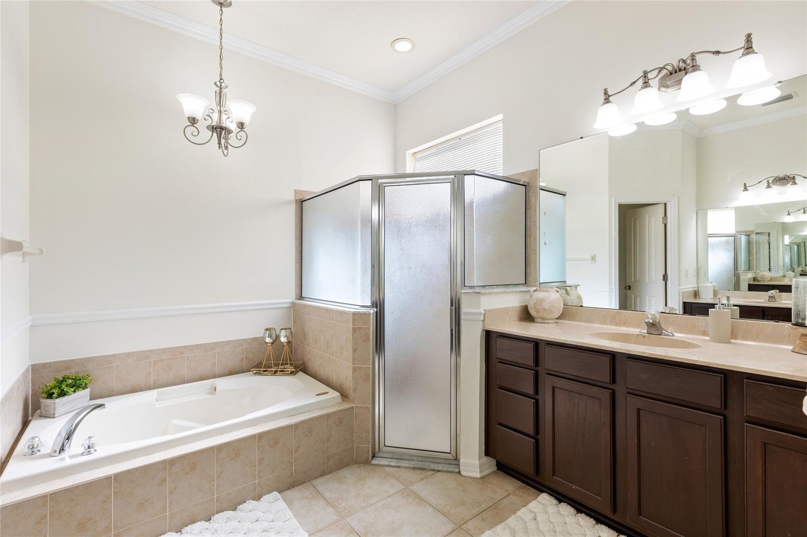 16132 IVY LAKE DR — photo 29