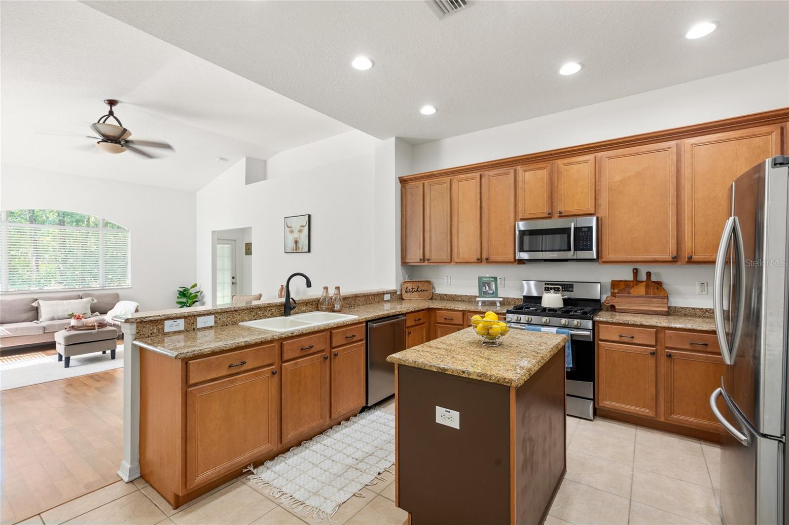 16132 IVY LAKE DR — photo 9
