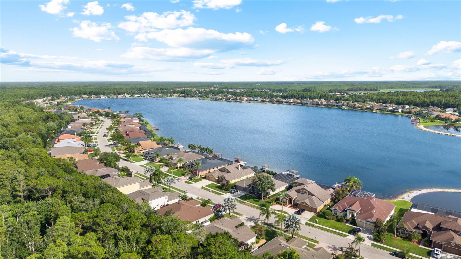 16132 IVY LAKE DR — photo 40