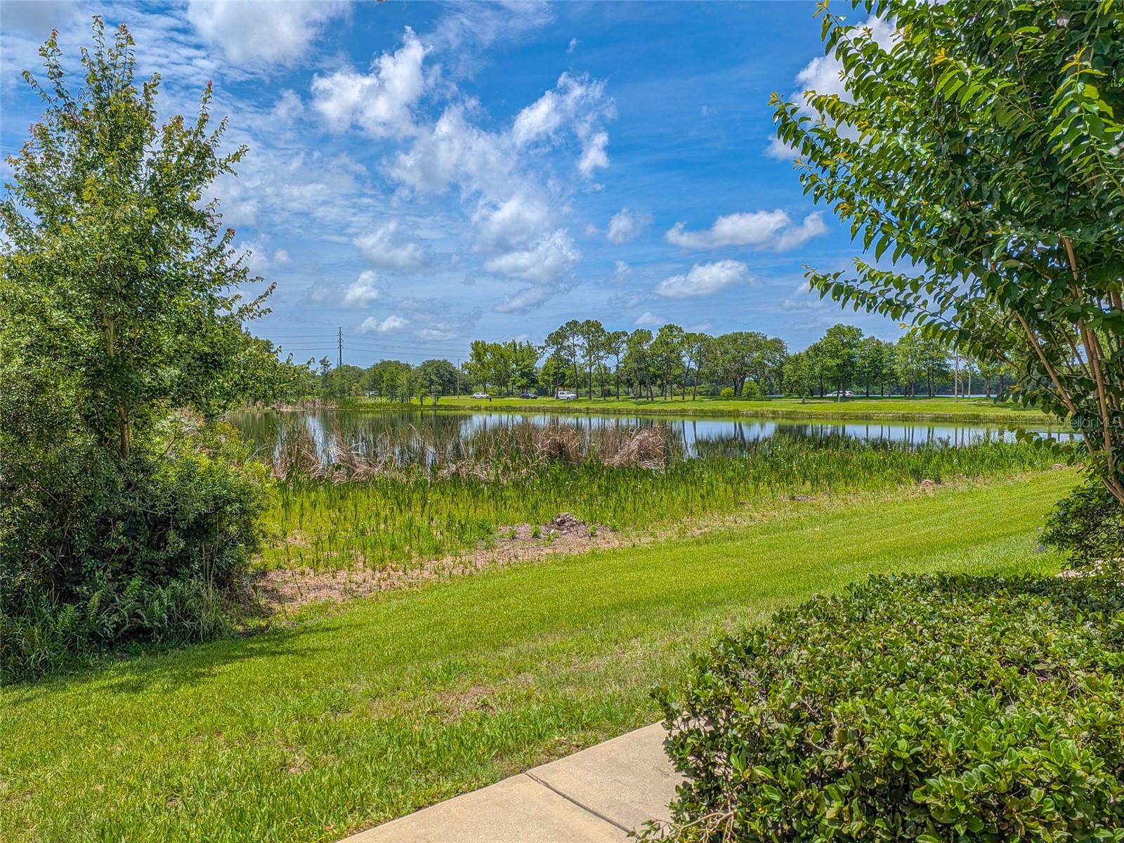 10409 CRIMSON PARK LN #110 — photo 46