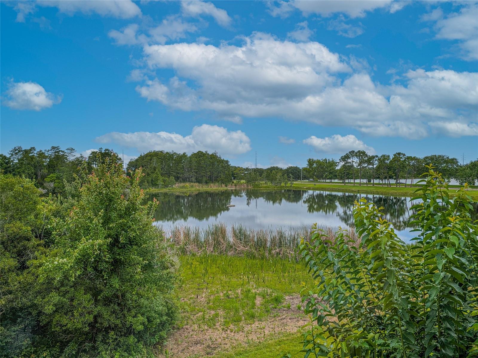 10409 CRIMSON PARK LN #110 — photo 47