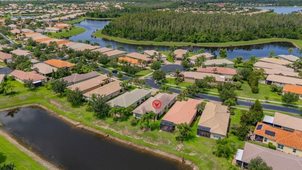 15824 AMBER FALLS DR — photo 29