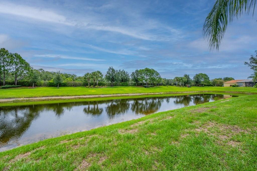 15824 AMBER FALLS DR — photo 28
