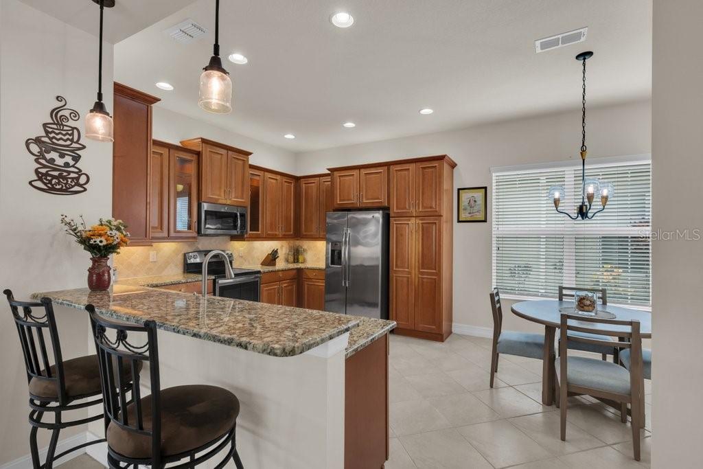 15824 AMBER FALLS DR — photo 8