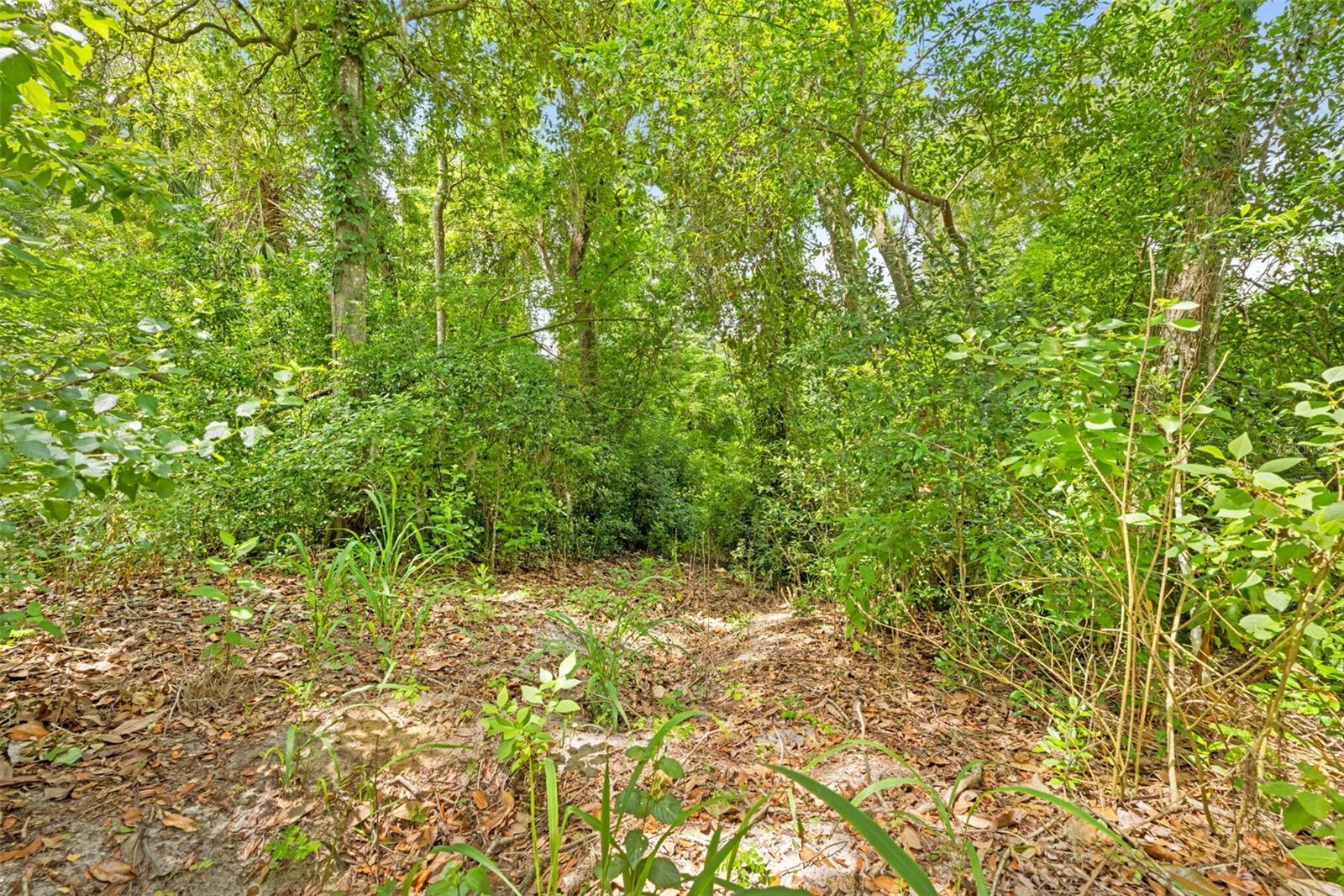 33320 LARKIN RD — photo 52