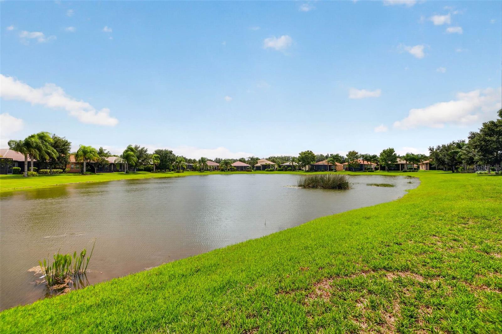15929 GOLDEN LAKES DR — photo 30