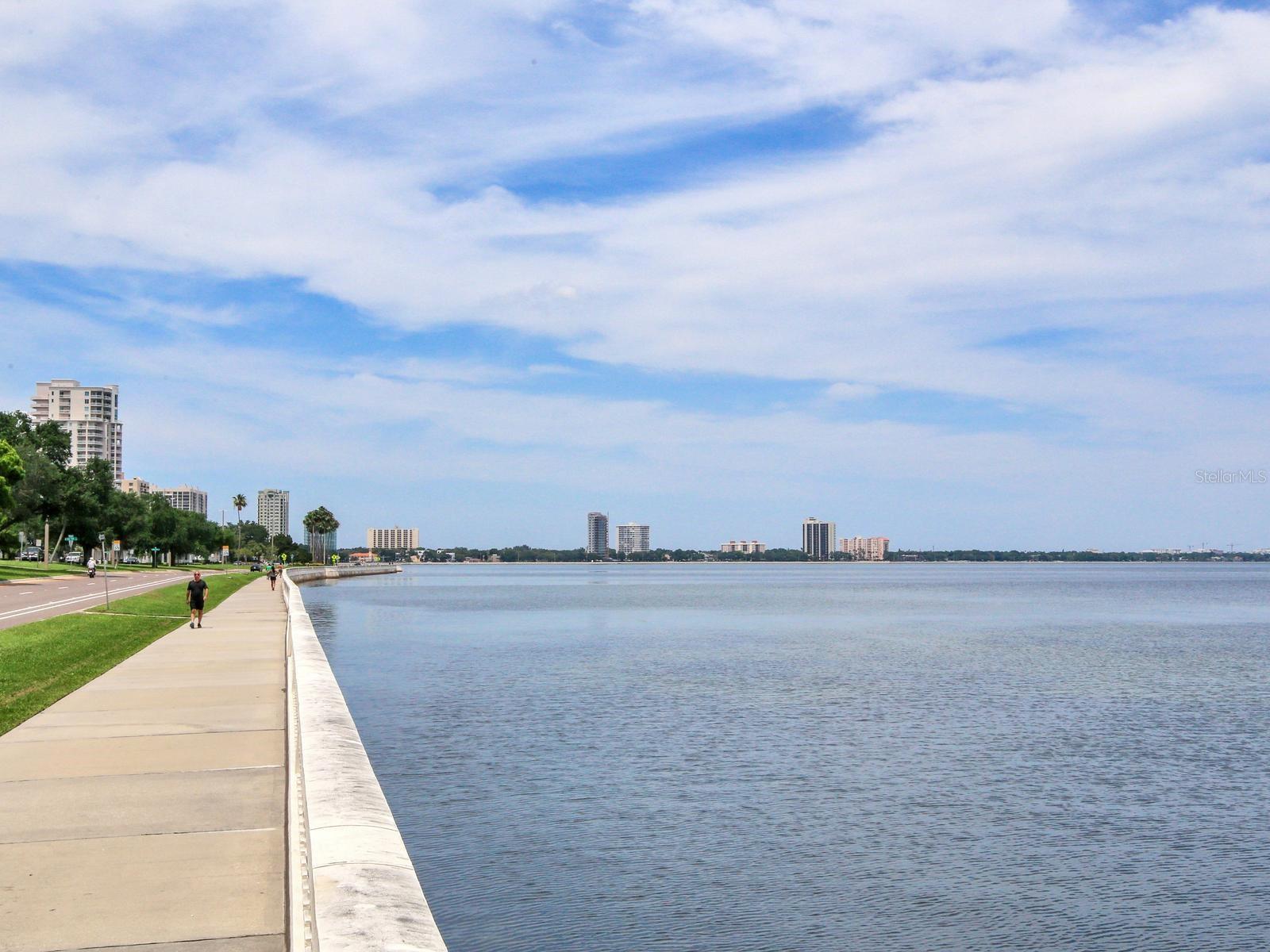 4141 BAYSHORE BLVD #505 — photo 46