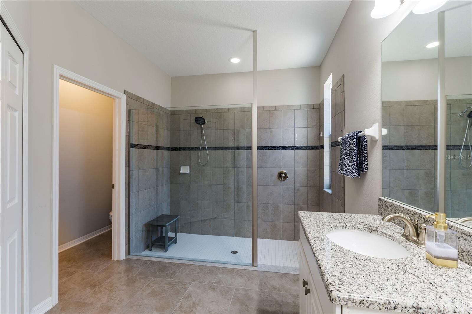 11420 AMAPOLA BLOOM CT — photo 23