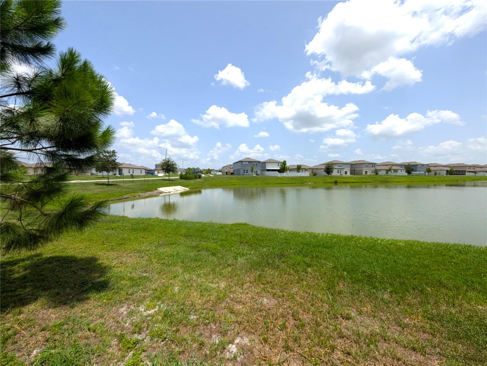 35491 SHADE FERN LN — photo 18
