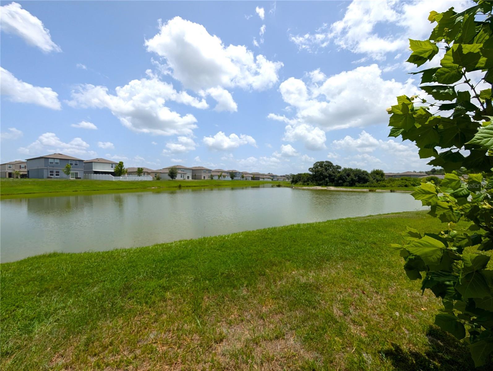 35491 SHADE FERN LN — photo 19