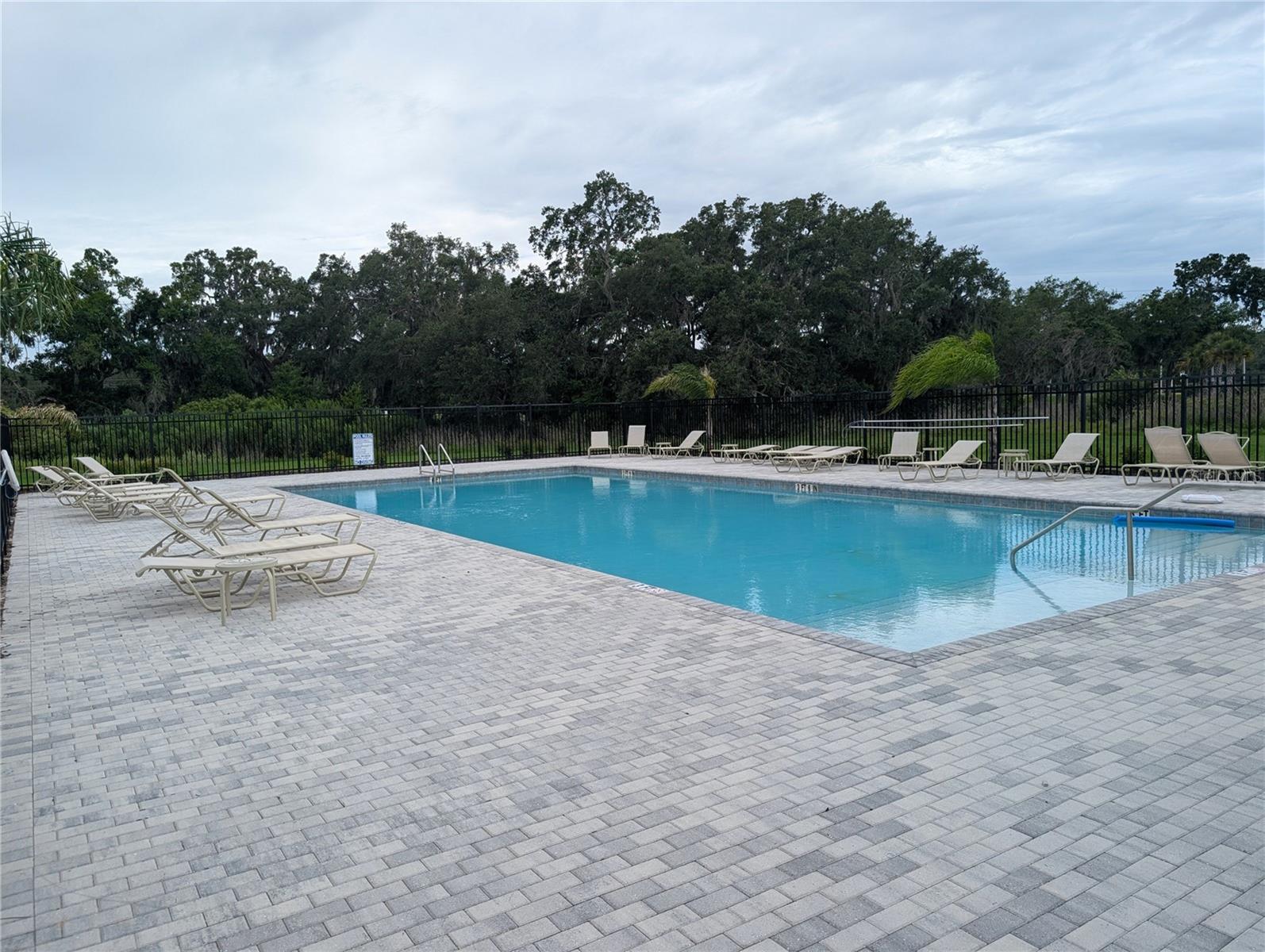 35491 SHADE FERN LN — photo 21